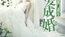 豪门重生之暖爱成婚,暖爱成婚，逆袭人生路