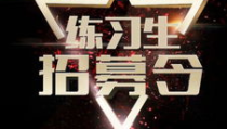 娱乐公司招艺人,娱乐公司招募新艺人的璀璨舞台